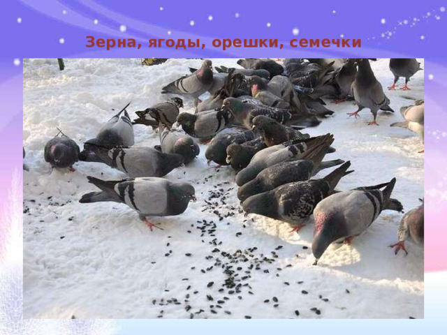 Зерна, ягоды, орешки, семечки