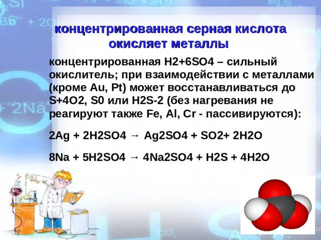 концентрированная серная кислота окисляет металлы концентрированная H2+6SO4 – сильный окислитель; при взаимодействии с металлами (кроме Au, Pt) может восстанавливаться до S+4O2, S0 или H2S-2 (без нагревания не реагируют также Fe, Al, Cr - пассивируются): 2Ag + 2H2SO4 → Ag2SO4 + SO2+ 2H2O 8Na + 5H2SO4 → 4Na2SO4 + H2S + 4H2O