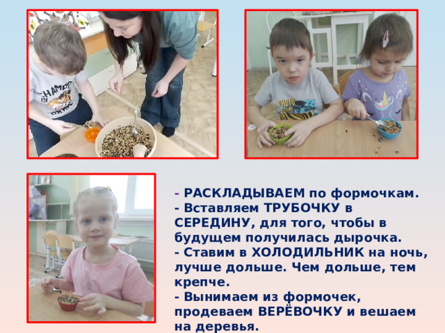 - РАСКЛАДЫВАЕМ по формочкам.  - Вставляем ТРУБОЧКУ в СЕРЕДИНУ, для того, чтобы в будущем получилась дырочка.  - Ставим в ХОЛОДИЛЬНИК на ночь, лучше дольше. Чем дольше, тем крепче.  - Вынимаем из формочек, продеваем ВЕРЁВОЧКУ и вешаем на деревья.