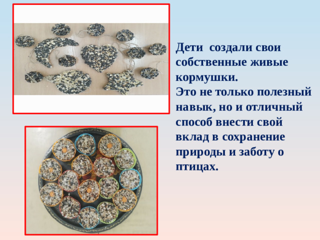 Дети  создали свои собственные живые кормушки. Это не только полезный навык, но и отличный способ внести свой вклад в сохранение природы и заботу о птицах.