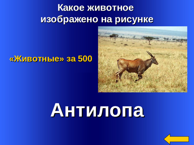 Какое животное изображено на рисунке «Животные»  за 500 Антилопа Welcome to Power Jeopardy   © Don Link, Indian Creek School, 2004 You can easily customize this template to create your own Jeopardy game. Simply follow the step-by-step instructions that appear on Slides 1-3. 2