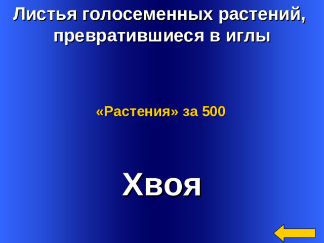 Листья голосеменных растений, превратившиеся в иглы «Растения»  за 500 Хвоя Welcome to Power Jeopardy   © Don Link, Indian Creek School, 2004 You can easily customize this template to create your own Jeopardy game. Simply follow the step-by-step instructions that appear on Slides 1-3. 2