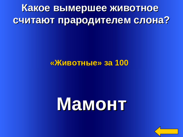 Какое вымершее животное считают прародителем слона? «Животные»  за 100 Мамонт Welcome to Power Jeopardy   © Don Link, Indian Creek School, 2004 You can easily customize this template to create your own Jeopardy game. Simply follow the step-by-step instructions that appear on Slides 1-3. 2