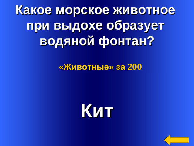 Какое морское животное при выдохе образует водяной фонтан? «Животные»  за 200 Кит Welcome to Power Jeopardy   © Don Link, Indian Creek School, 2004 You can easily customize this template to create your own Jeopardy game. Simply follow the step-by-step instructions that appear on Slides 1-3. 2