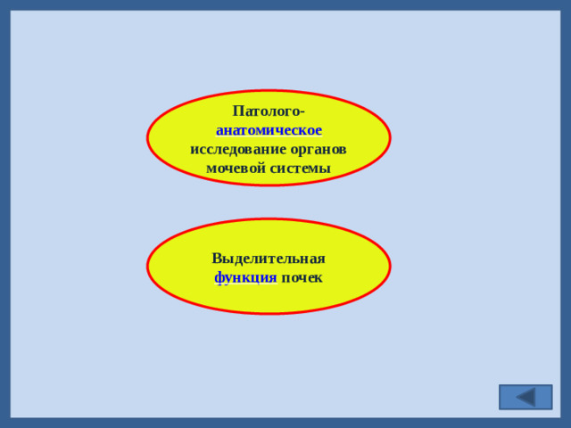 Патолого- анатомическое исследование органов мочевой системы  Выделительная функция почек