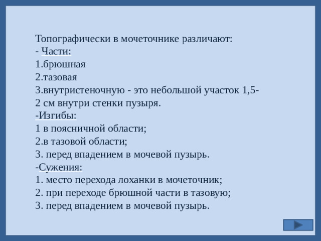 Топографически в мочеточнике различают: - Части: 1.брюшная 2.тазовая 3.внутристеночную - это небольшой участок 1,5- 2 см внутри стенки пузыря. -Изгибы: 1 в поясничной области; 2.в тазовой области; 3. перед впадением в мочевой пузырь. - Сужения: 1. место перехода лоханки в мочеточник; 2. при переходе брюшной части в тазовую; 3. перед впадением в мочевой пузырь.