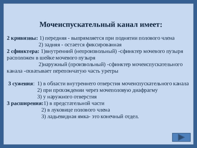 Мочеиспускательный канал имеет: 2 кривизны: 1) передняя - выпрямляется при поднятии полового члена  2) задняя - остается фиксированная 2 сфинктера: 1)внутренний (непроизвольный) -сфинктер мочевого пузыря расположен в шейке мочевого пузыря  2)наружный (произвольный) -сфинктер мочеиспускательного канала -охватывает перепончатую часть уретры  3 сужения : 1) в области внутреннего отверстия мочеиспускательного канала  2) при прохождении через мочеполовую диафрагму  3) у наружного отверстия  3 расширения: 1) в предстательной части  2) в луковице полового члена  3) ладьевидная ямка- это конечный отдел.