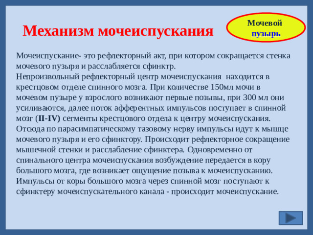 Мочевой пузырь  Механизм мочеиспускания Мочеиспускание- это рефлекторный акт, при котором сокращается стенка мочевого пузыря и расслабляется сфинктр. Непроизвольный рефлекторный центр мочеиспускания находится в крестцовом отделе спинного мозга. При количестве 150мл мочи в мочевом пузыре у взрослого возникают первые позывы, при 300 мл они усиливаются, далее поток афферентных импульсов поступает в спинной мозг ( II-IV) сегменты крестцового отдела к центру мочеиспускания. Отсюда по парасимпатическому тазовому нерву импульсы идут к мышце мочевого пузыря и его сфинктору. Происходит рефлекторное сокращение мышечной стенки и расслабление сфинктера. Одновременно от спинального центра мочеиспускания возбуждение передается в кору большого мозга, где возникает ощущение позыва к мочеиспусканию. Импульсы от коры большого мозга через спинной мозг поступают к сфинктеру мочеиспускательного канала - происходит мочеиспускание.