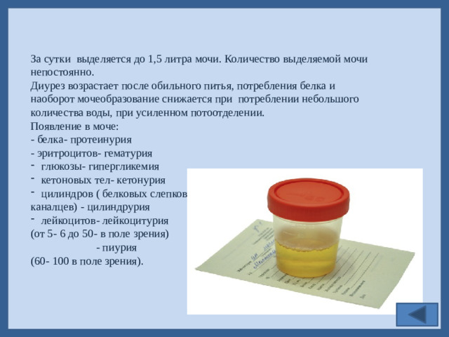 За сутки выделяется до 1,5 литра мочи. Количество выделяемой мочи непостоянно. Диурез возрастает после обильного питья, потребления белка и наоборот мочеобразование снижается при потреблении небольшого количества воды, при усиленном потоотделении. Появление в моче: - белка- протеинурия - эритроцитов- гематурия глюкозы- гипергликемия кетоновых тел- кетонурия цилиндров ( белковых слепков каналцев) - цилиндрурия лейкоцитов- лейкоцитурия (от 5- 6 до 50- в поле зрения)  - пиурия (60- 100 в поле зрения).