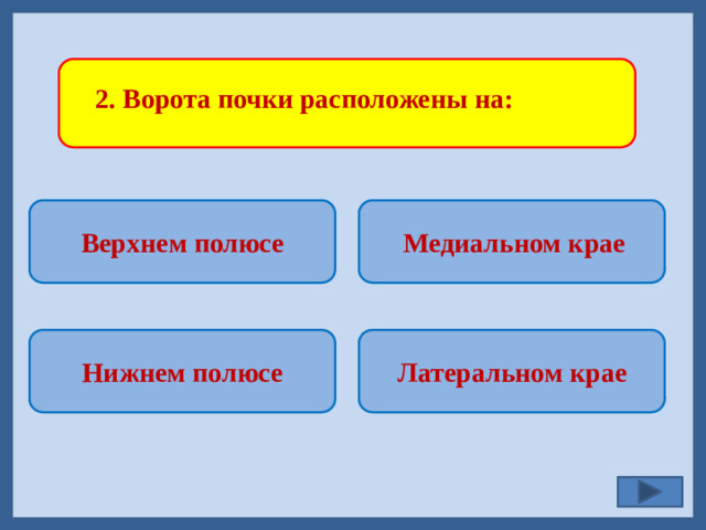 2. Ворота почки расположены на:  Верхнем полюсе  Медиальном крае  Латеральном крае Нижнем полюсе
