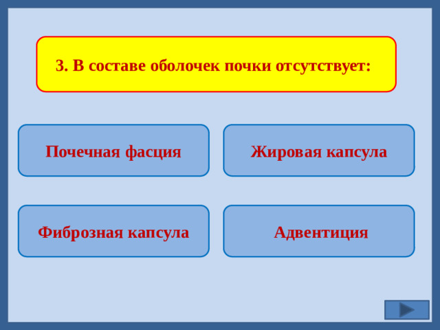 3. В составе оболочек почки отсутствует: Почечная фасция Жировая капсула    Адвентиция Фиброзная капсула