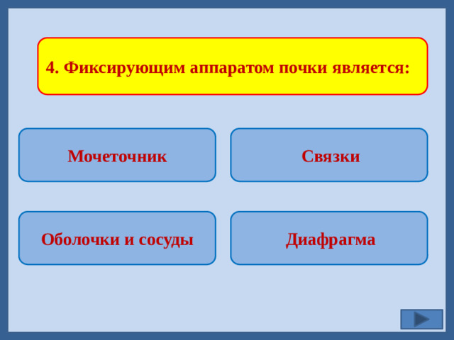 4. Фиксирующим аппаратом почки является: Мочеточник  Связки    Диафрагма Оболочки и сосуды