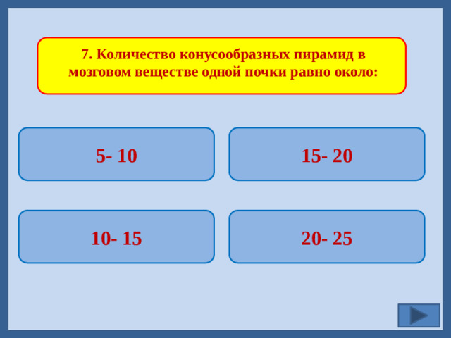 7. Количество конусообразных пирамид в мозговом веществе одной почки равно около: 5- 10 15- 20   20- 25 10- 15