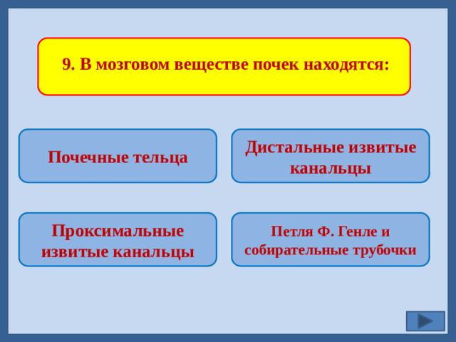9. В мозговом веществе почек находятся: Почечные тельца Дистальные извитые канальцы   Петля Ф. Генле и собирательные трубочки Проксимальные извитые канальцы