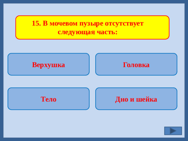 15. В мочевом пузыре отсутствует следующая часть: Верхушка Головка   Дно и шейка Тело