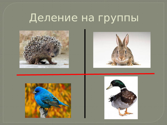 Деление на группы