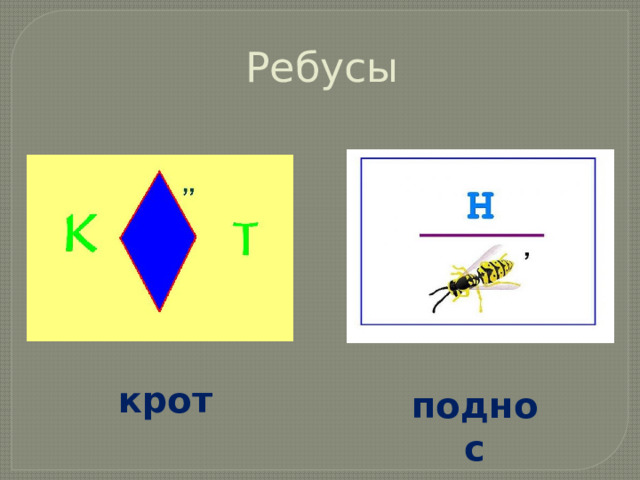 Ребусы крот поднос
