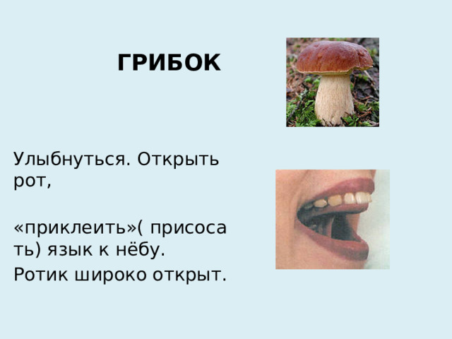 ГРИБОК Улыбнуться. Открыть рот,  «приклеить»( присосать) язык к нёбу. Ротик широко открыт.