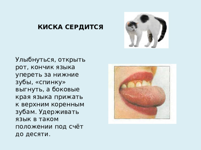 КИСКА СЕРДИТСЯ Улыбнуться, открыть рот, кончик языка упереть за нижние зубы, «спинку» выгнуть, а боковые края языка прижать к верхним коренным зубам. Удерживать язык в таком положении под счёт до десяти.