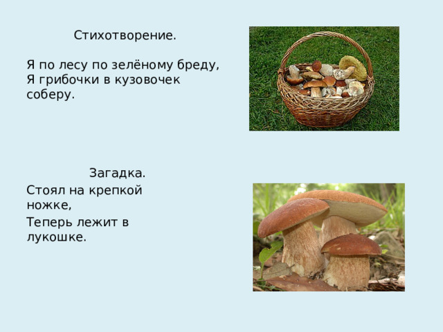 Стихотворение.   Я по лесу по зелёному бреду,  Я грибочки в кузовочек соберу.  Загадка. Стоял на крепкой ножке, Теперь лежит в лукошке.