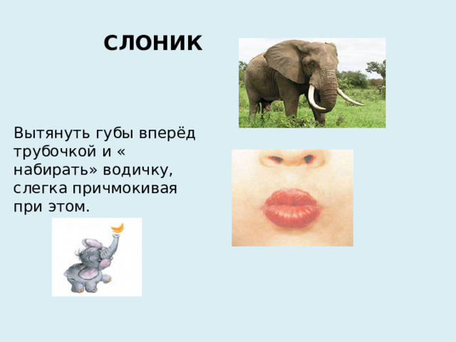 СЛОНИК   Вытянуть губы вперёд трубочкой и « набирать» водичку, слегка причмокивая при этом.