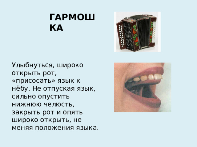 ГАРМОШКА Улыбнуться, широко открыть рот, «присосать» язык к нёбу. Не отпуская язык, сильно опустить нижнюю челюсть, закрыть рот и опять широко открыть, не меняя положения языка .