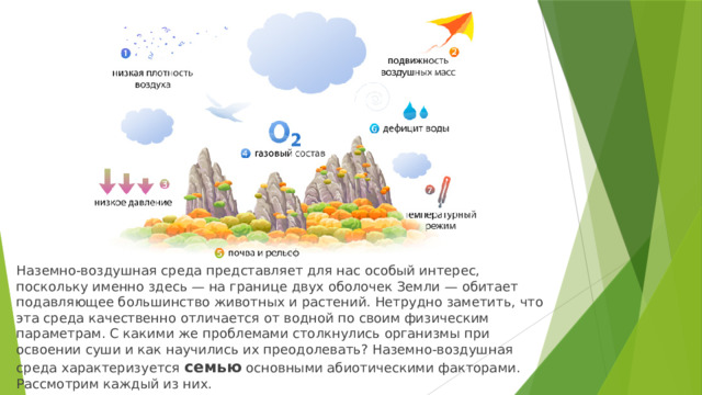 Наземно-воздушная среда представляет для нас особый интерес, поскольку именно здесь — на границе двух оболочек Земли — обитает подавляющее большинство животных и растений. Нетрудно заметить, что эта среда качественно отличается от водной по своим физическим параметрам. С какими же проблемами столкнулись организмы при освоении суши и как научились их преодолевать? Наземно-воздушная среда характеризуется семью основными абиотическими факторами. Рассмотрим каждый из них.