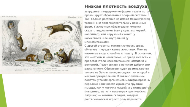 Низкая плотность воздуха затрудняет поддержание формы тела и потому провоцирует образование опорной системы. Так, водные растения не имеют механических тканей: они появляются только у наземных форм. У животных обязательно имеется скелет: гидроскелет (как у круглых червей, например), или наружный скелет (у насекомых), или внутренний (у млекопитающих). С другой стороны, малая плотность среды облегчает передвижение животных. Многие наземные виды способны к полету. В основном, это — птицы и насекомые, но среди них есть и представители млекопитающих, амфибий и рептилий. Полет связан с поиском добычи или расселением. Обитатели суши размножаются только на Земле, которая служит им опорой и местом прикрепления. В связи с активным полетом у таких организмов модифицированы передние конечности и развиты грудные мышцы, как у летучих мышей, а у планеристов (например, летяг и некоторых тропических лягушек) — кожные складки, которые растягиваются и играют роль парашюта.