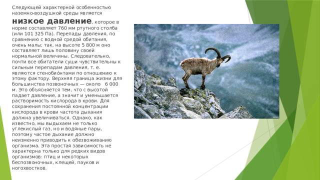 Следующей характерной особенностью наземно-воздушной среды является низкое давление , которое в норме составляет 760 мм ртутного столба (или 101 325 Па). Перепады давления, по сравнению с водной средой обитания, очень малы; так, на высоте 5 800 м оно составляет лишь половину своей нормальной величины. Следовательно, почти все обитатели суши чувствительны к сильным перепадам давления, т. е. являются стенобио́нтами по отношению к этому фактору. Верхняя граница жизни для большинства позвоночных — около 6 000 м. Это объясняется тем, что с высотой падает давление, а значит и уменьшается растворимость кислорода в крови. Для сохранения постоянной концентрации кислорода в крови частота дыхания должна увеличиваться. Однако, как известно, мы выдыхаем не только углекислый газ, но и водяные пары, поэтому частое дыхание должно неизменно приводить к обезвоживанию организма. Эта простая зависимость не характерна только для редких видов организмов: птиц и некоторых беспозвоночных, клещей, пауков и ногохвостков.