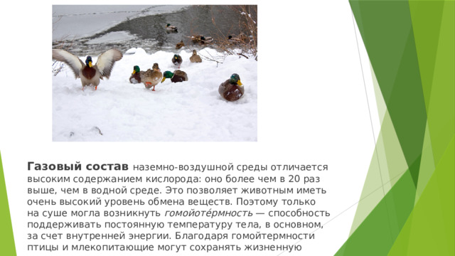 Газовый состав наземно-воздушной среды отличается высоким содержанием кислорода: оно более чем в 20 раз выше, чем в водной среде. Это позволяет животным иметь очень высокий уровень обмена веществ. Поэтому только на суше могла возникнуть гомойоте́рмность  — способность поддерживать постоянную температуру тела, в основном, за счет внутренней энергии. Благодаря гомойтермности птицы и млекопитающие могут сохранять жизненную активность в самых суровых условиях
