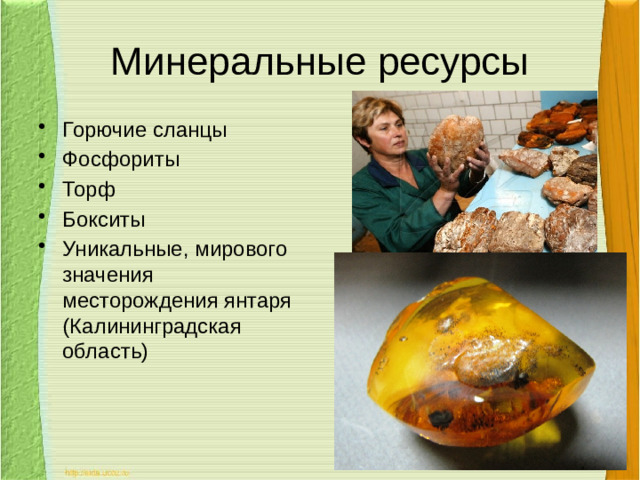 Минеральные ресурсы