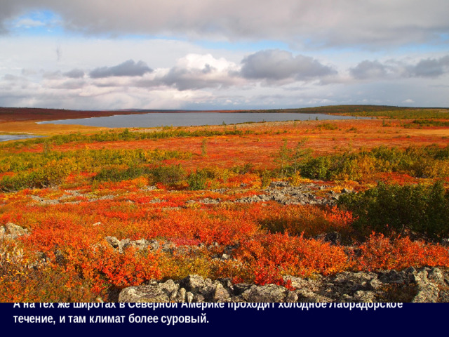 Например, отепляющее действие на северо-западные районы Европы оказывает тёплое Северо-Атлантическое течение. А на тех же широтах в Северной Америке проходит холодное Лабрадорское течение, и там климат более суровый.