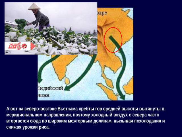 А вот на северо-востоке Вьетнама хребты гор средней высоты вытянуты в меридиональном направлении, поэтому холодный воздух с севера часто вторгается сюда по широким межгорным долинам, вызывая похолодания и снижая урожаи риса.