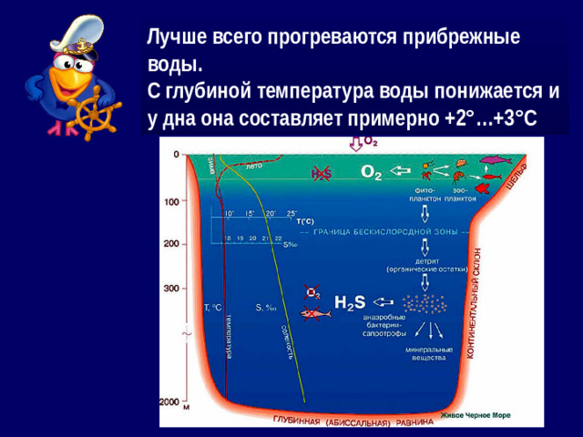 Лучше всего прогреваются прибрежные воды. С глубиной температура воды понижается и у дна она составляет примерно +2°…+3°С