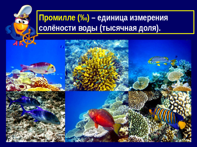 Промилле (‰) – единица измерения солёности воды (тысячная доля).