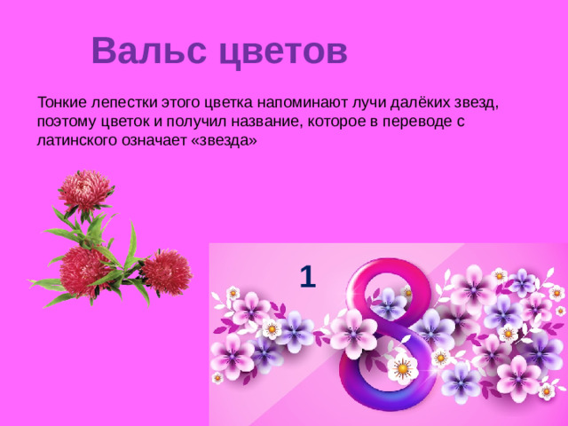 Вальс цветов   Тонкие лепестки этого цветка напоминают лучи далёких звезд, поэтому цветок и получил название, которое в переводе с латинского означает «звезда» 1