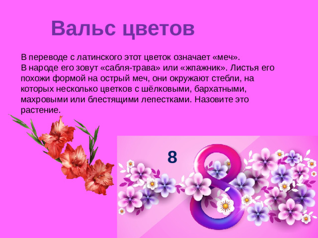 Вальс цветов   В переводе с латинского этот цветок означает «меч». В народе его зовут «сабля-трава» или «жпажник». Листья его похожи формой на острый меч, они окружают стебли, на которых несколько цветков с шёлковыми, бархатными, махровыми или блестящими лепестками. Назовите это растение. 8