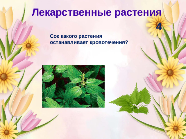 Лекарственные растения 4 Сок какого растения останавливает кровотечения?