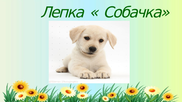 Лепка  «  Собачка»