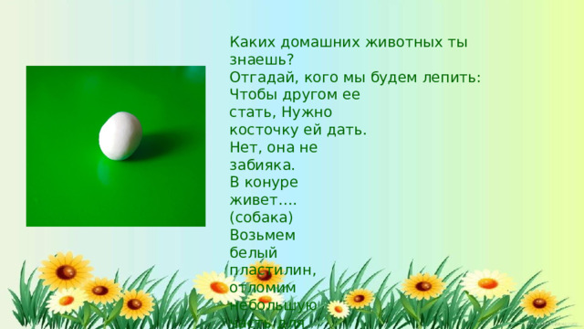 Каких  домашних  животных  ты  знаешь? Отгадай,  кого  мы  будем  лепить: Чтобы  другом  ее  стать, Нужно  косточку  ей  дать. Нет,  она  не  забияка. В  конуре  живет…. (собака) Возьмем  белый  пластилин,  отломим  небольшую часть  для головы. Она  какой  формы?  (круглая) Скатаем  шар  между  ладонями. Затем  немного  сплющим.