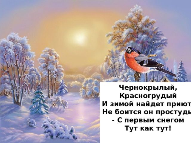 Чернокрылый,  Красногрудый  И зимой найдет приют:  Не боится он простуды  - С первым снегом  Тут как тут!