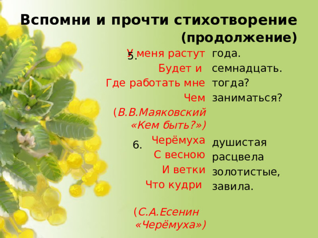 Вспомни и прочти стихотворение  (продолжение) У меня растут года. семнадцать. Будет и Где работать мне тогда? Чем заниматься?  ( В.В.Маяковский «Кем быть?») Черёмуха С весною душистая И ветки расцвела Что кудри золотистые,  ( С.А.Есенин «Черёмуха») завила. 5. 6.