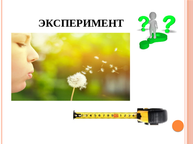 Эксперимент