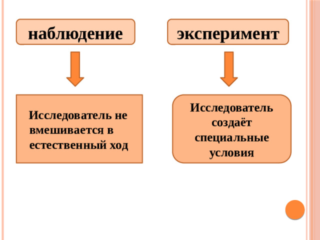 наблюдение эксперимент Исследователь создаёт специальные условия  Исследователь не вмешивается в естественный ход