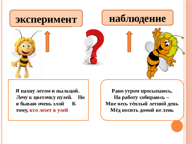 наблюдение эксперимент   Я пахну летом и пыльцой. Лечу к цветочку пулей. Но я бываю очень злой К тому, кто лезет в улей Рано утром просыпаюсь, На работу собираюсь – Мне весь тёплый летний день Мёд носить домой не лень