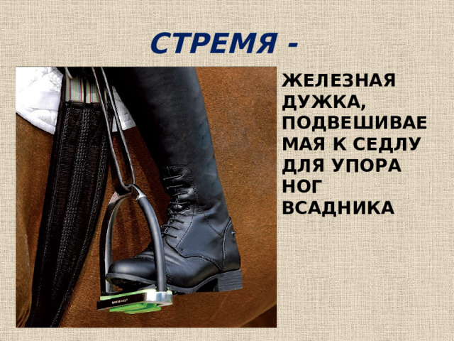 СТРЕМЯ - ЖЕЛЕЗНАЯ ДУЖКА, ПОДВЕШИВАЕМАЯ К СЕДЛУ ДЛЯ УПОРА НОГ ВСАДНИКА