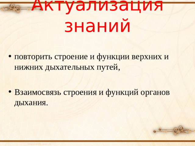 Актуализация знаний повторить строение и функции верхних и нижних дыхательных путей,  Взаимосвязь строения и функций органов дыхания.
