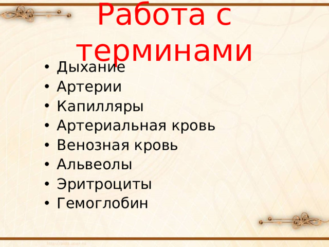 Работа с терминами