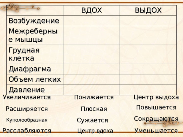 ВДОХ Возбуждение Межреберные мышцы ВЫДОХ Грудная клетка Диафрагма Объем легких Давление Центр выдоха Понижается Увеличивается Повышается Расширяется Плоская Сокращаются Сужается Куполообразная Центр вдоха Уменьшается Расслабляются