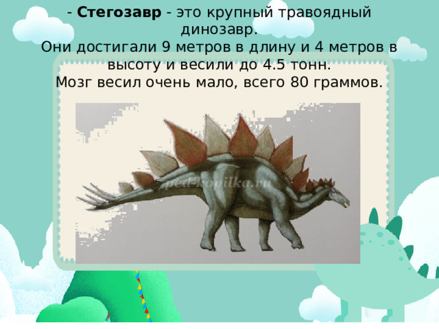 -  Стегозавр  - это крупный травоядный динозавр.  Они достигали 9 метров в длину и 4 метров в высоту и весили до 4.5 тонн.  Мозг весил очень мало, всего 80 граммов.